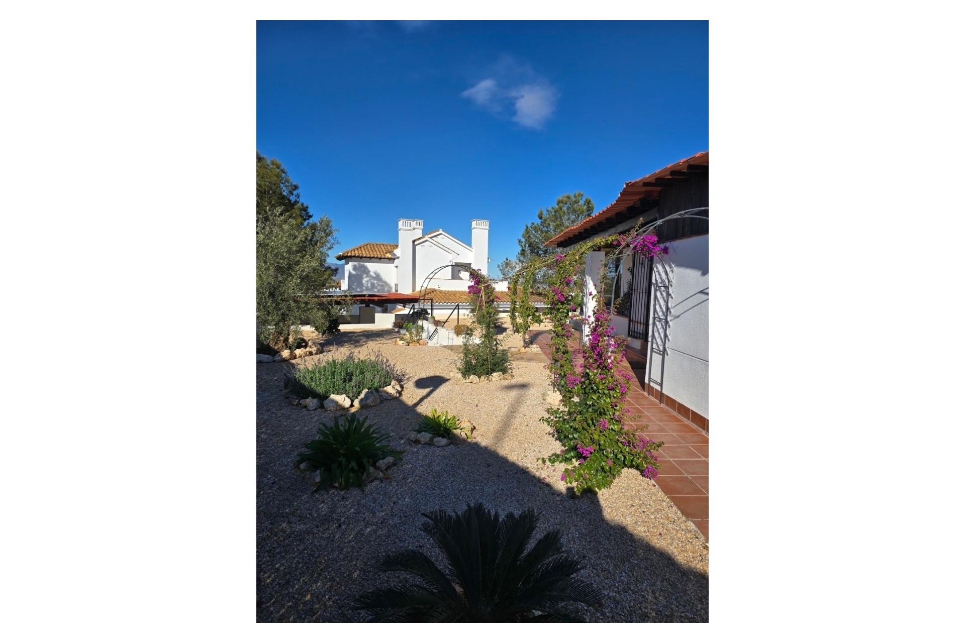 Venta - Villa - Fuente Álamo - Las Palas