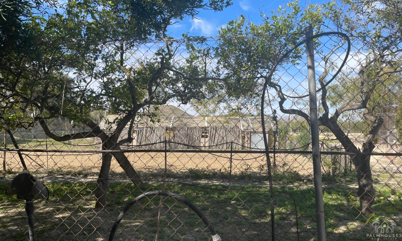 Venta - Villa - Guardamar del Segura - Costa Blanca