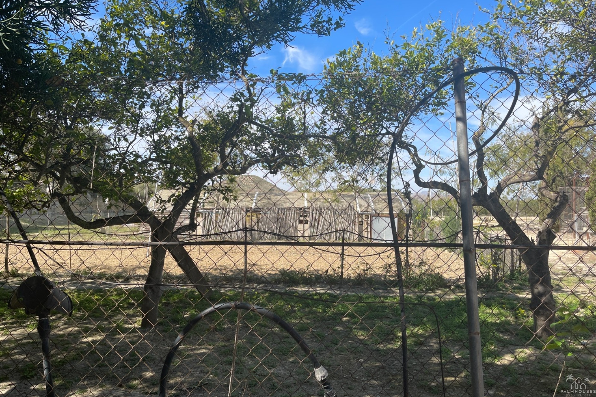Venta - Villa - Guardamar del Segura - Costa Blanca