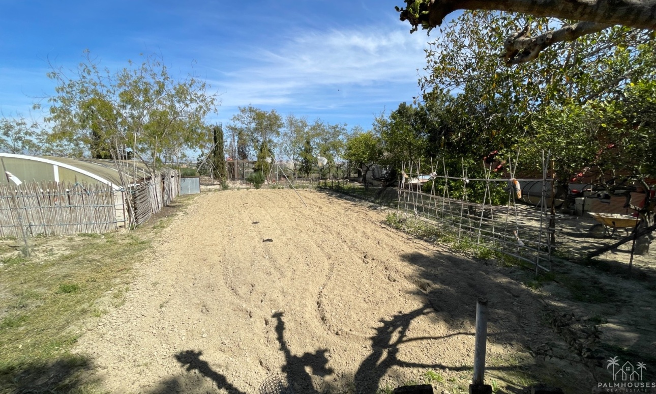 Venta - Villa - Guardamar del Segura - Costa Blanca
