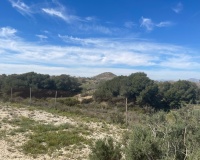 Venta - Villa - Guardamar del Segura - Costa Blanca