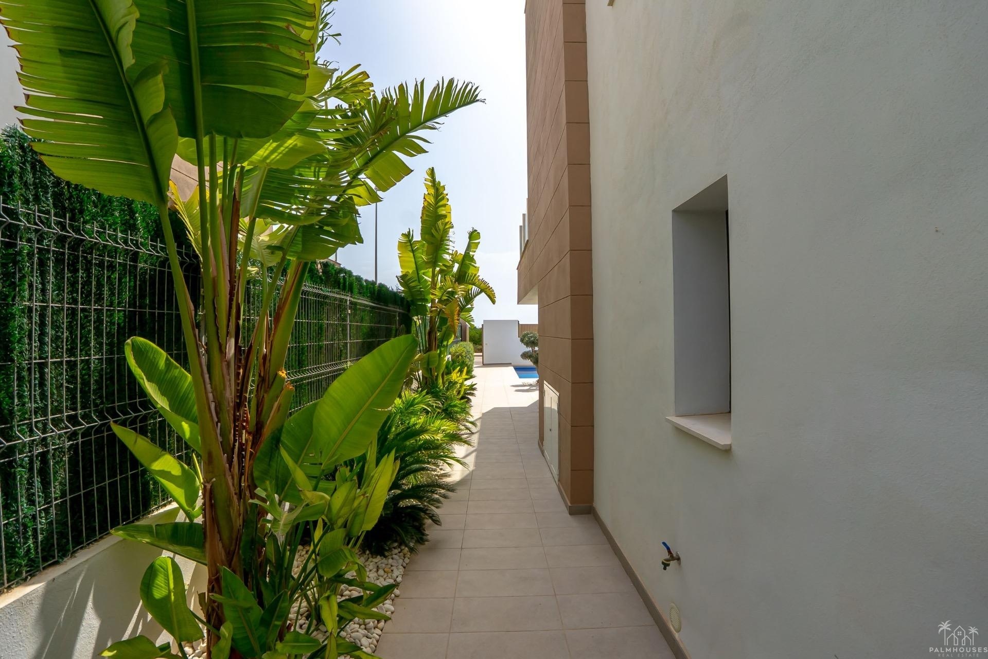 Venta - Villa - Guardamar del Segura - El Raso