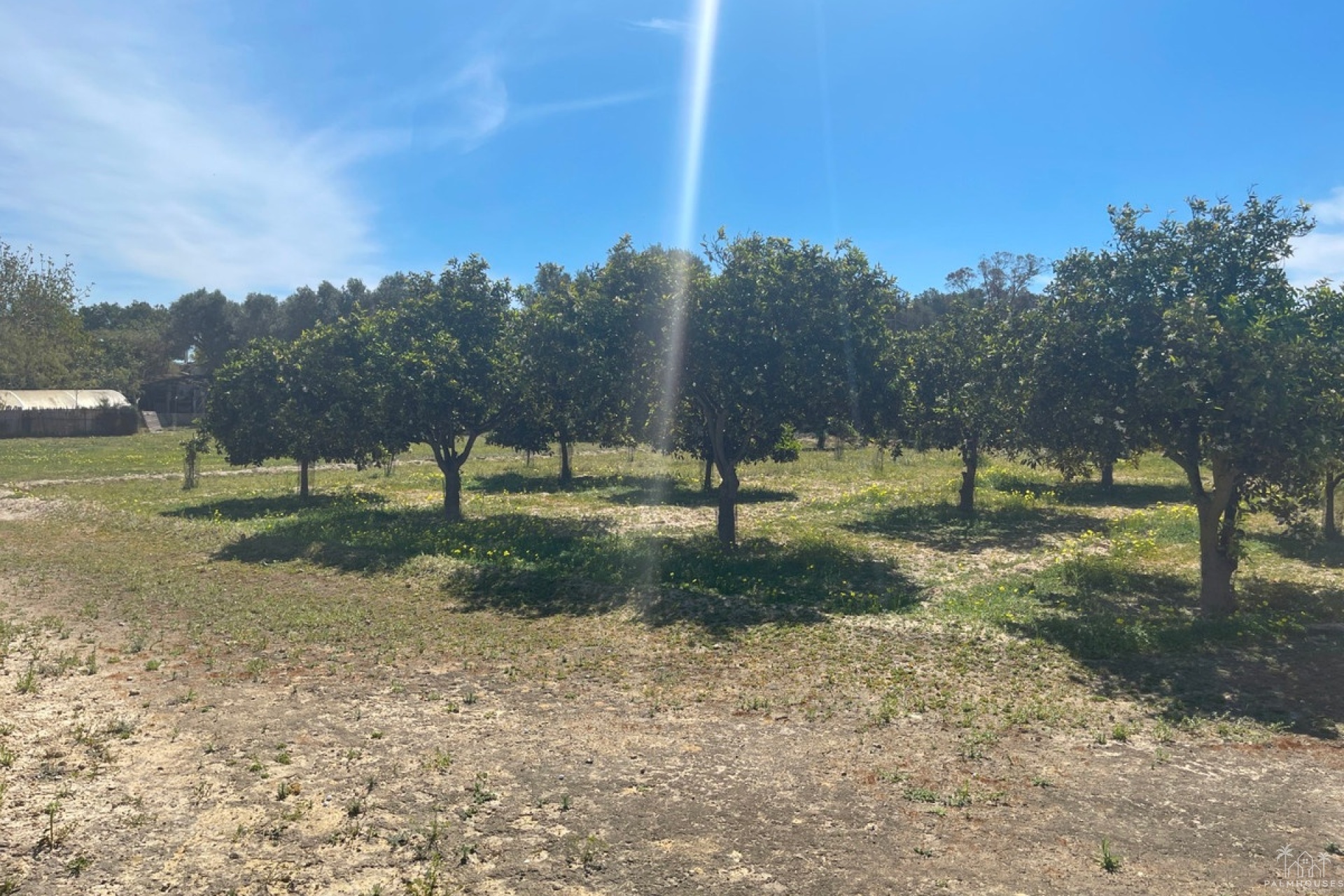 Venta - Villa - Guardamar del Segura - Guardamar del Segura Centro