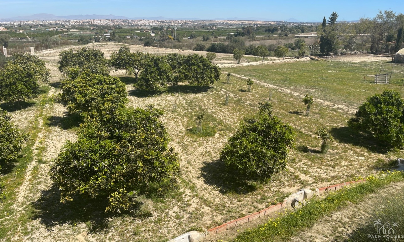 Venta - Villa - Guardamar del Segura - Valencian Community