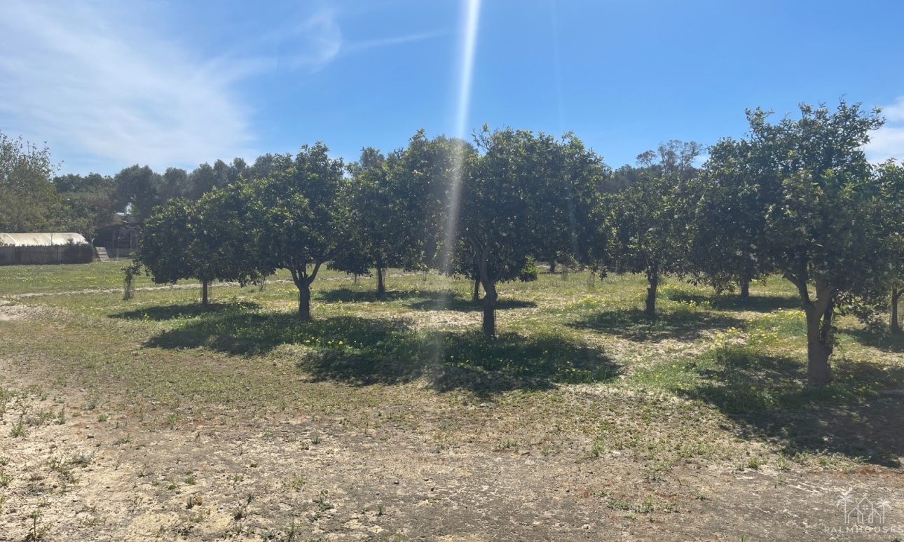 Venta - Villa - Guardamar del Segura - Valencian Community