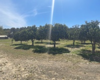 Venta - Villa - Guardamar del Segura - Valencian Community