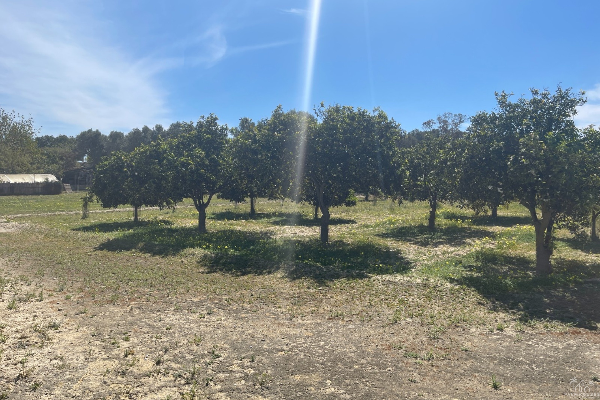 Venta - Villa - Guardamar del Segura - Valencian Community