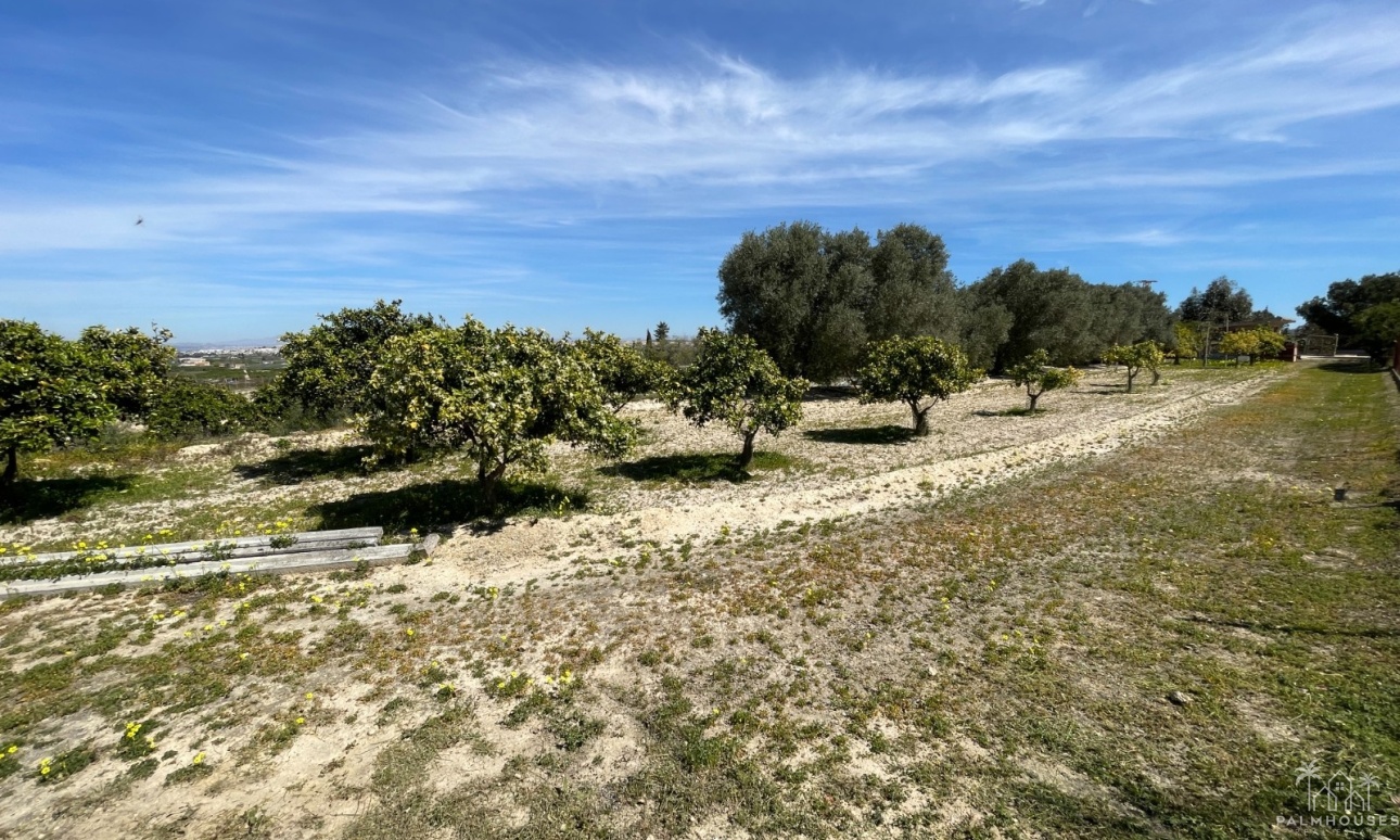 Venta - Villa - Guardamar del Segura - Valencian Community