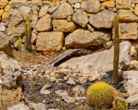 Venta - Villa - Jalon - Jalon Centro
