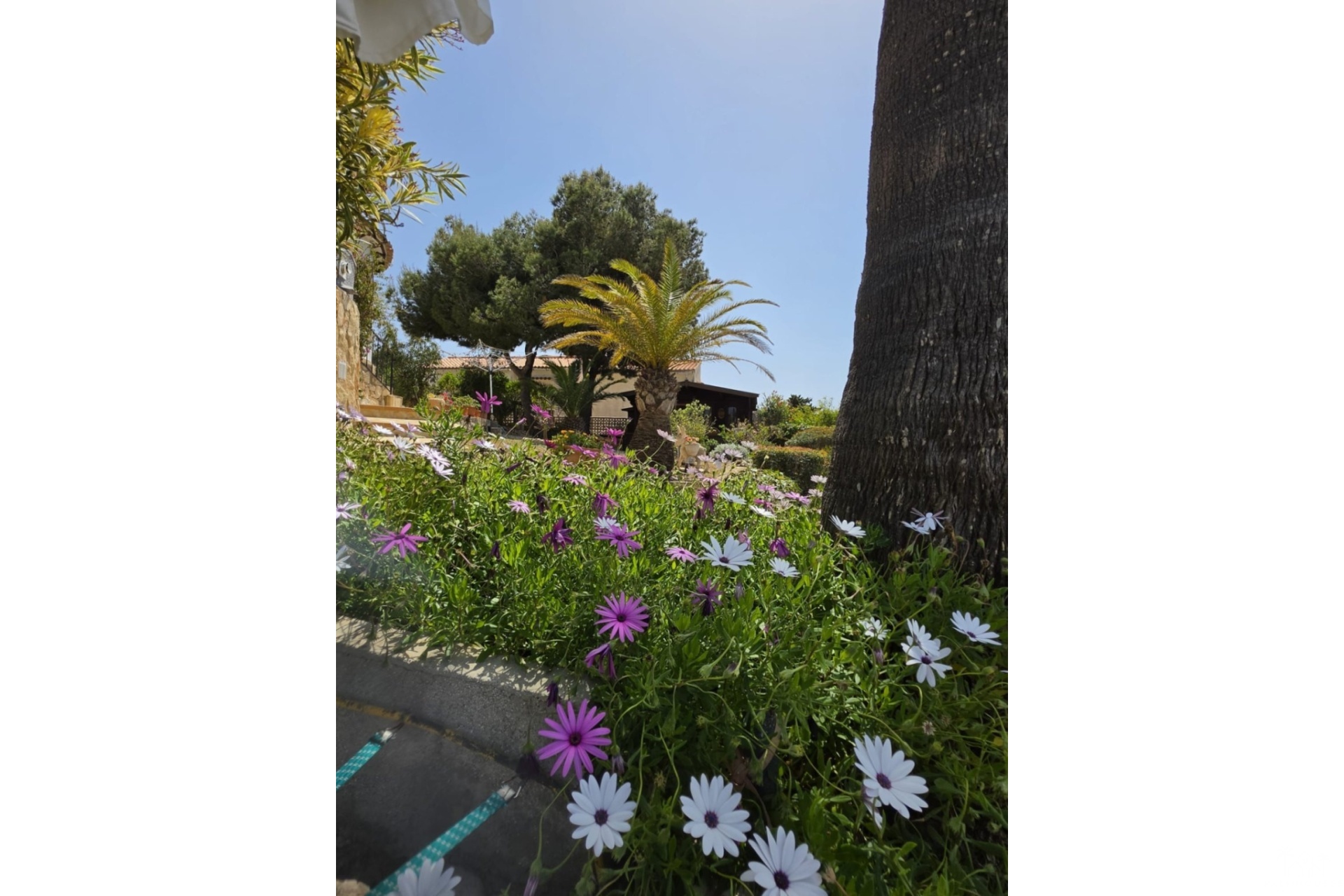 Venta - Villa - Jávea - Xàbia - Jávea - Xàbia Centro