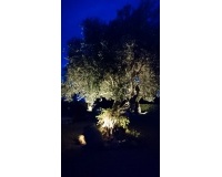 Venta - Villa - Jávea - Xàbia - Jávea - Xàbia Centro