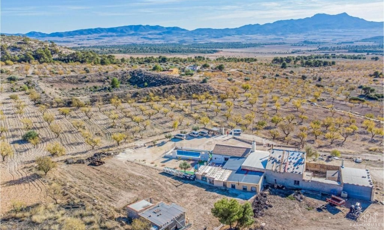 Venta - Villa - Jumilla - Inland