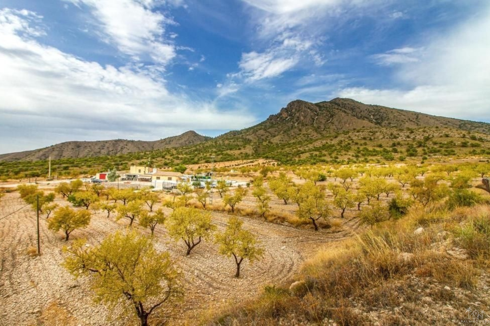 Venta - Villa - Jumilla - Inland