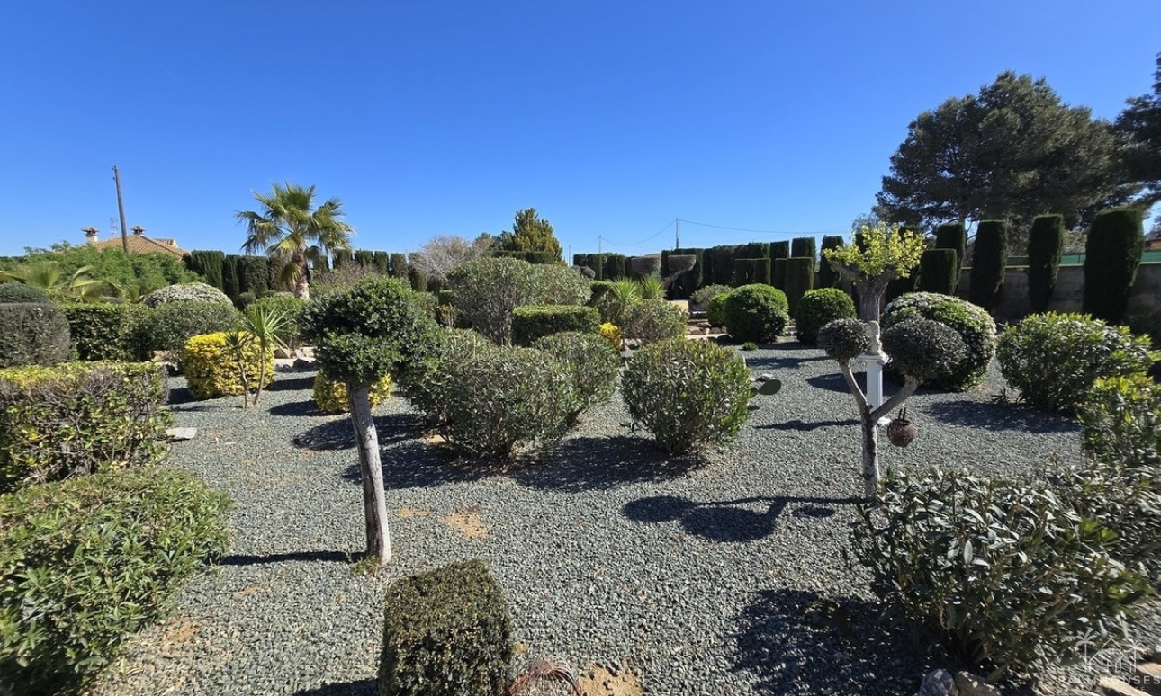 Venta - Villa - Lorca - Lorca Centro