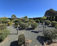 Venta - Villa - Lorca - Lorca Centro
