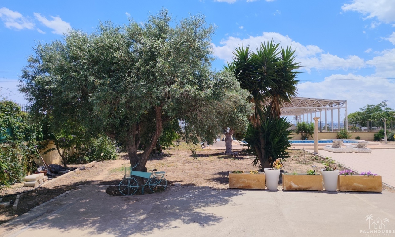 Venta - Villa - Los Montesinos - Costa Blanca