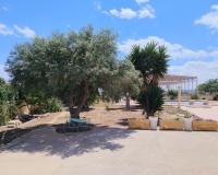 Venta - Villa - Los Montesinos - Costa Blanca