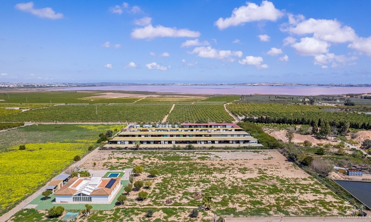 Venta - Villa - Los Montesinos - Costa Blanca