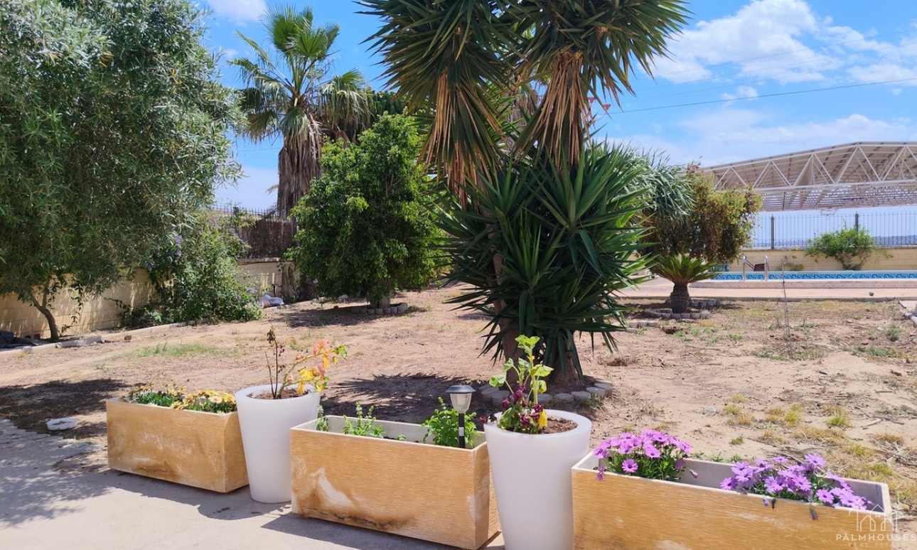 Venta - Villa - Los Montesinos - Los Montesinos Centro