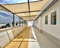 Venta - Villa - Los Montesinos - Los Montesinos Centro