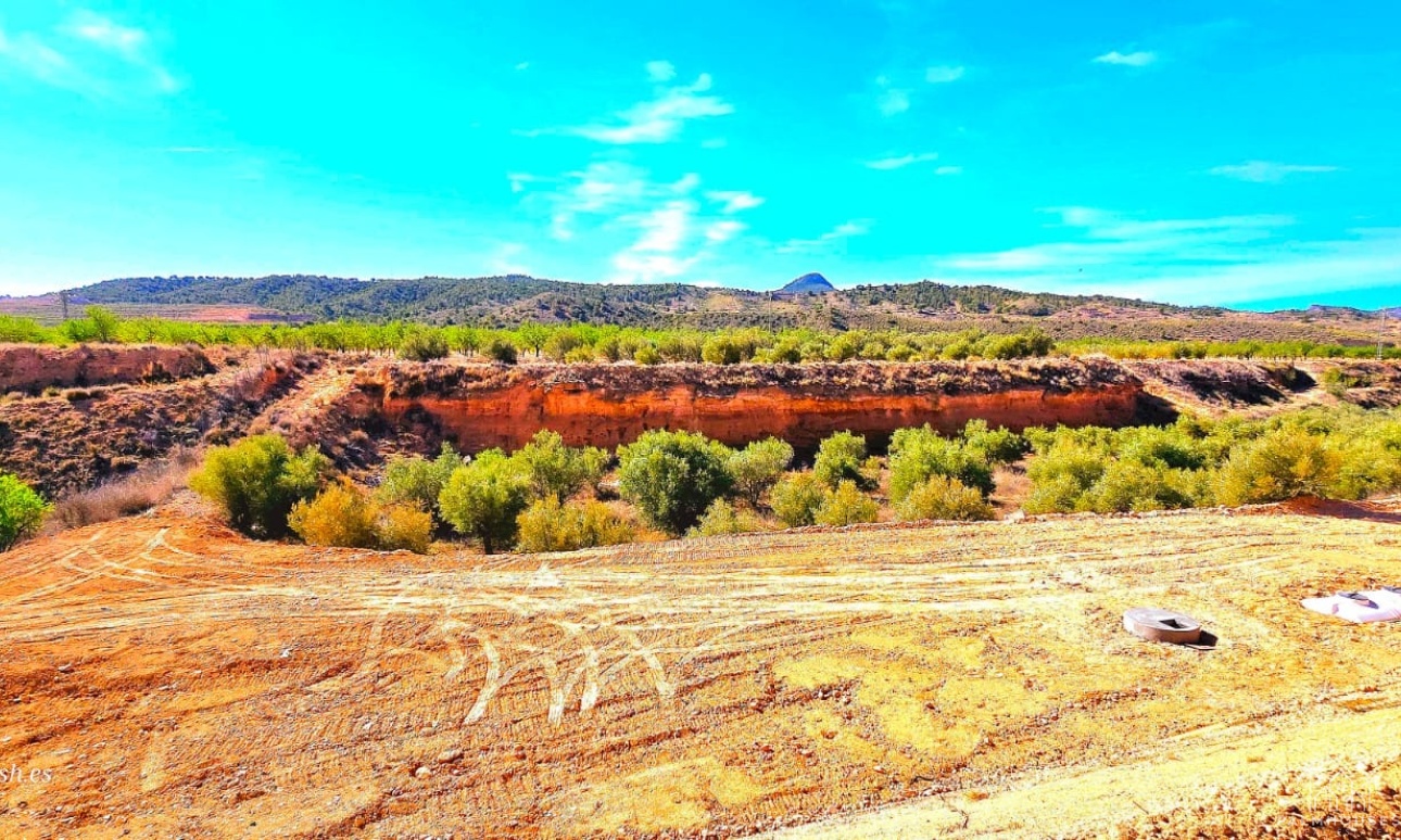 Venta - Villa - Macisvenda - Inland