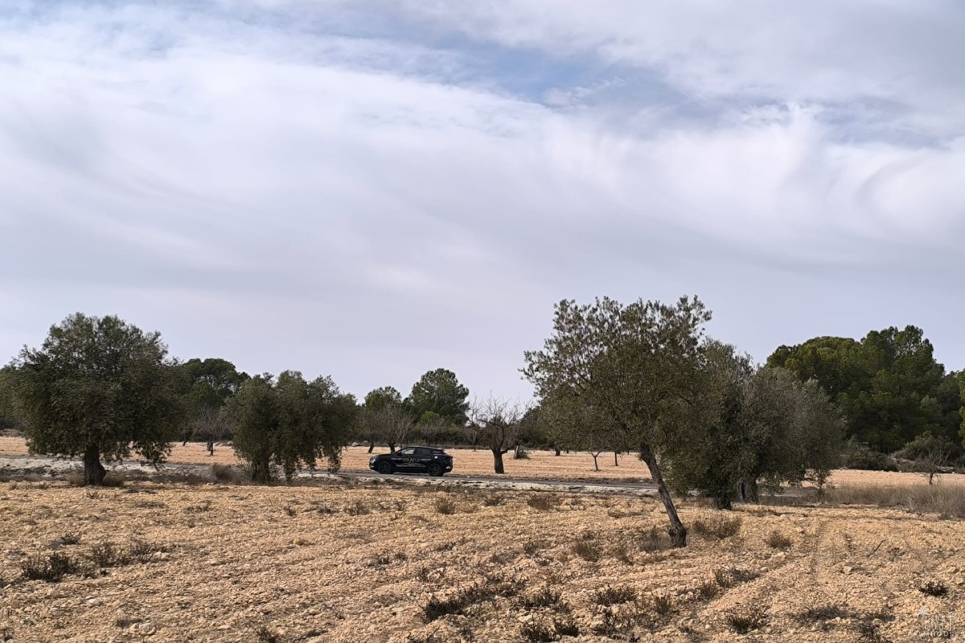 Venta - Villa - Monóvar - Monòver - Monóvar - Monòver Centro