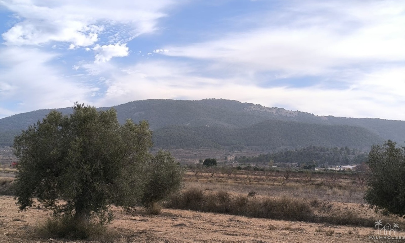 Venta - Villa - Monóvar - Monòver - Monóvar - Monòver Centro