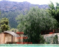 Venta - Villa - Murcia - Inland