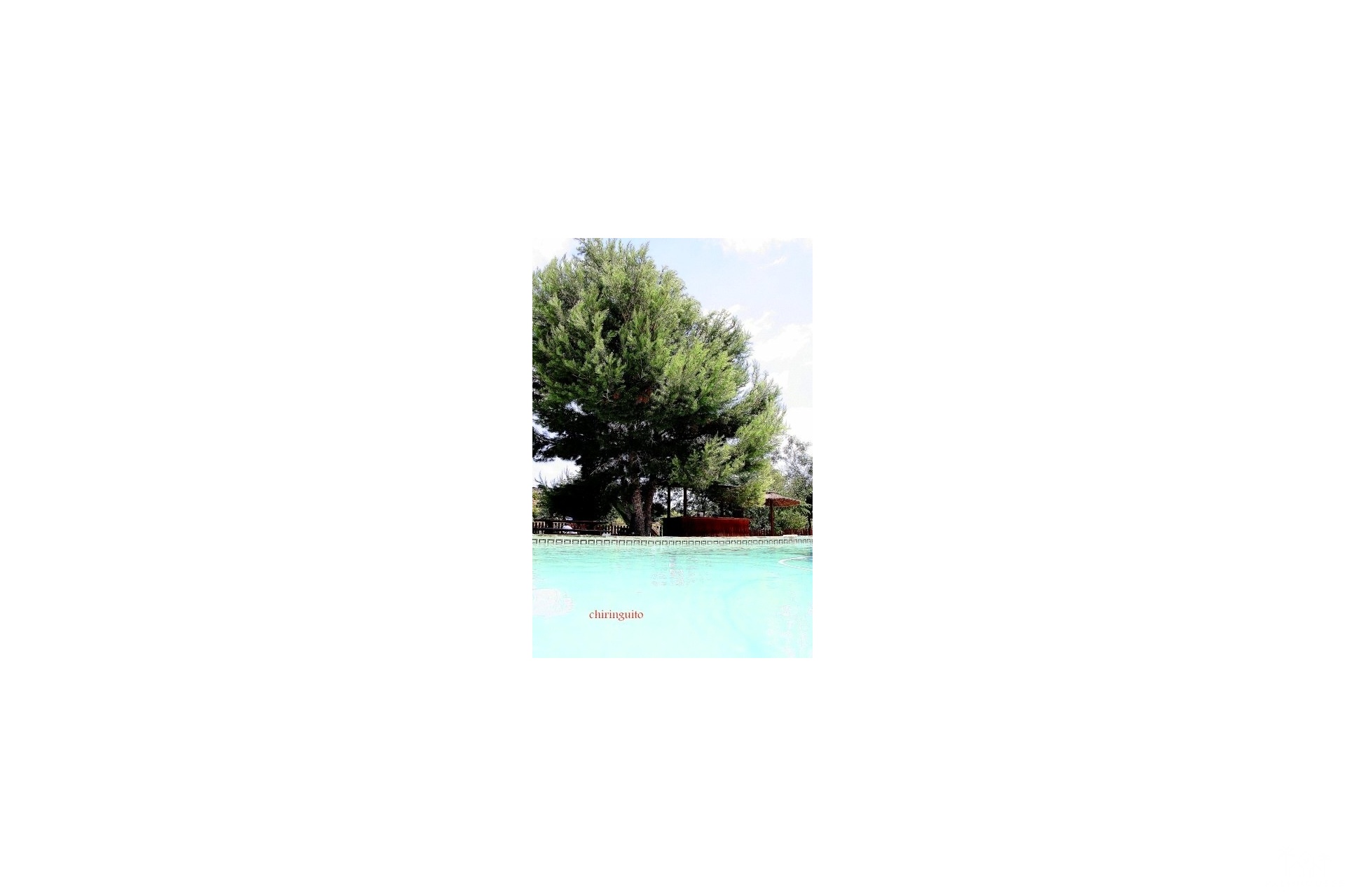 Venta - Villa - Murcia - Inland