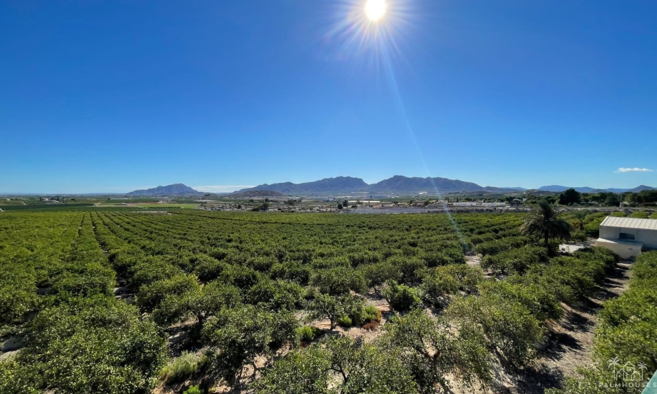 Venta - Villa - Murcia - Inland