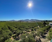 Venta - Villa - Murcia - Inland