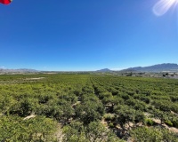 Venta - Villa - Murcia - Inland