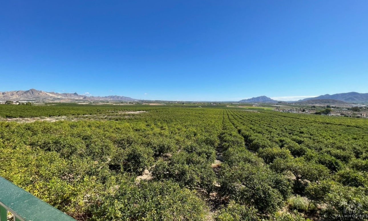 Venta - Villa - Murcia - Inland
