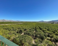 Venta - Villa - Murcia - Inland