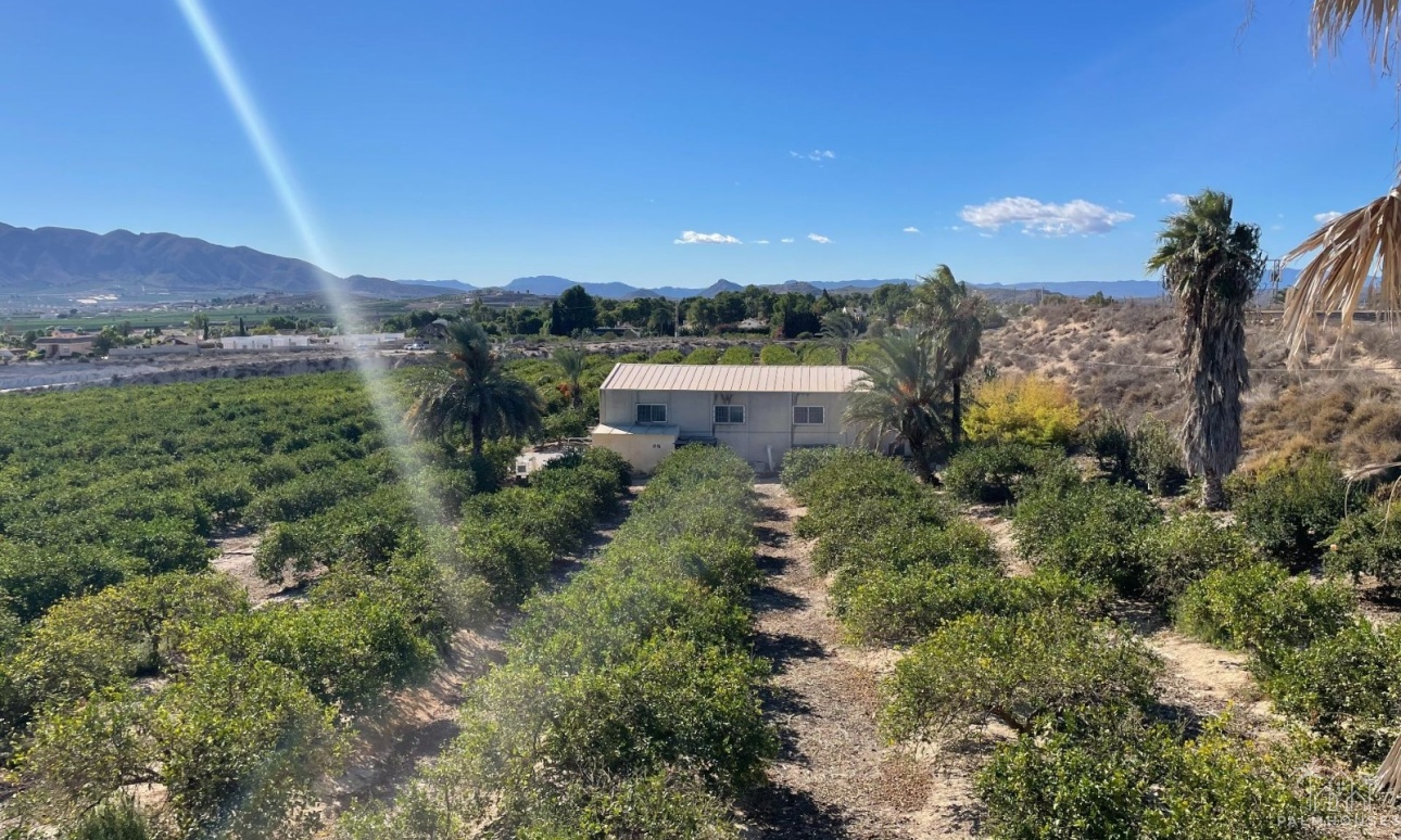 Venta - Villa - Murcia - Inland