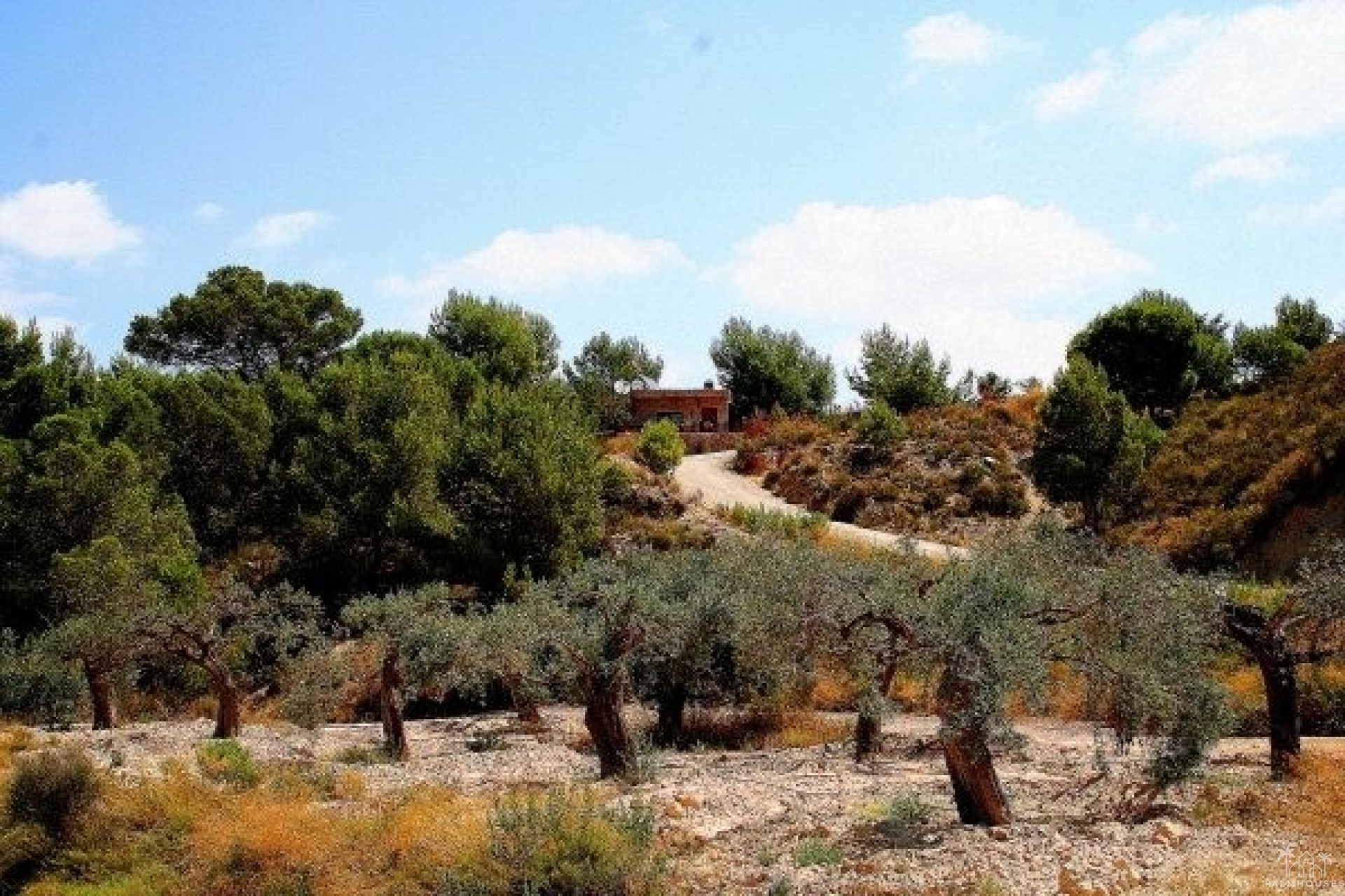 Venta - Villa - Murcia - Inland