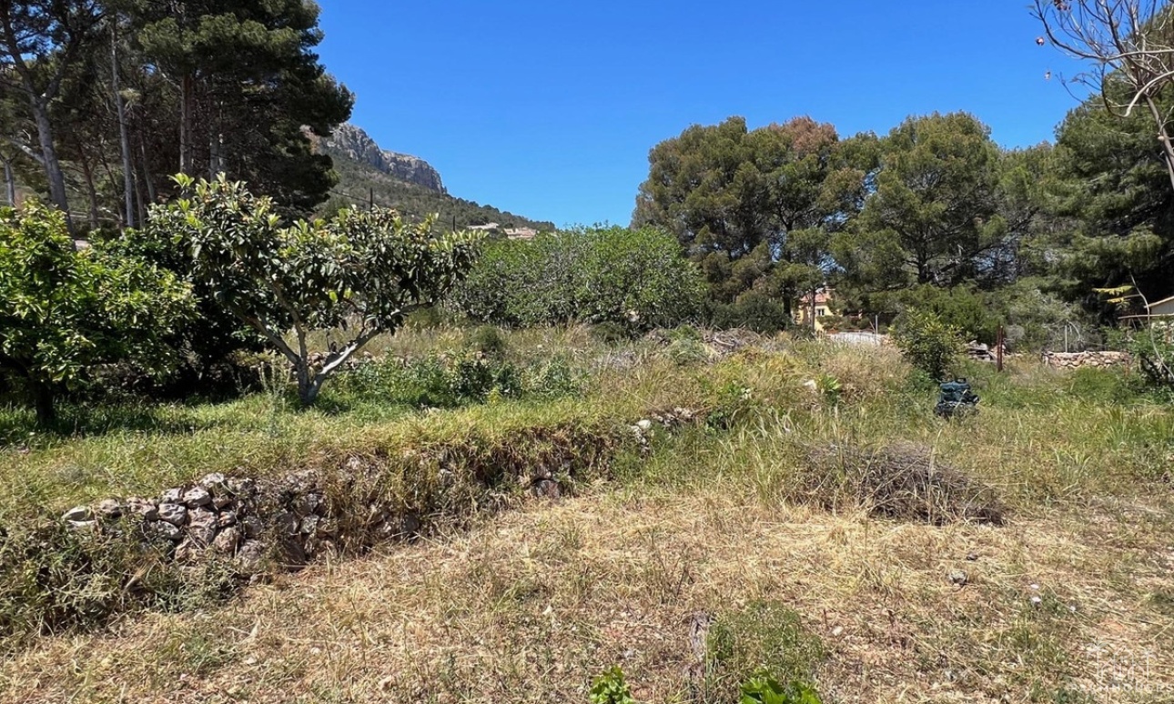 Venta - Villa - Novelda - Estación