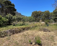 Venta - Villa - Novelda - Estación