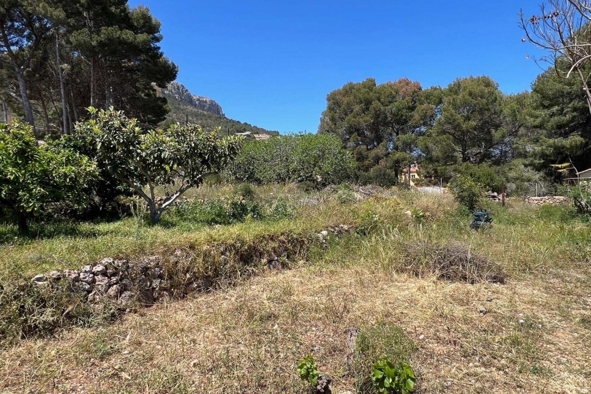 Venta - Villa - Novelda - Estación