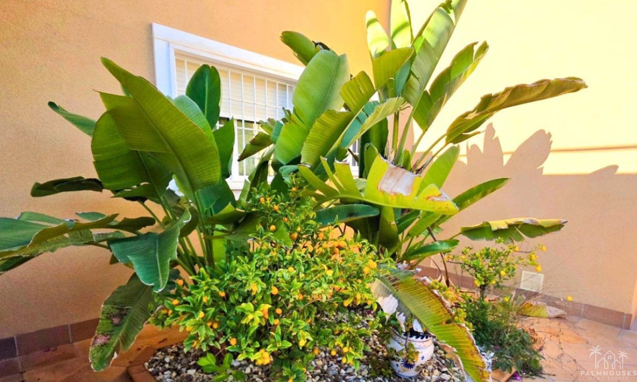 Venta - Villa - Orihuela - Campoamor