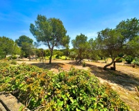 Venta - Villa - Orihuela Costa - Costa Blanca
