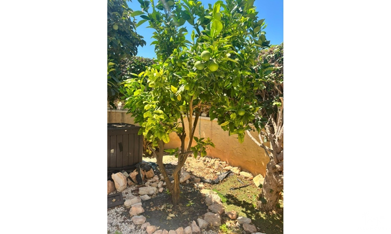 Venta - Villa - Orihuela Costa - Lomas de Cabo Roig