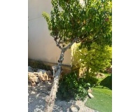 Venta - Villa - Orihuela Costa - Lomas de Cabo Roig