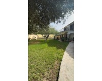 Venta - Villa - Orihuela Costa - Punta Prima