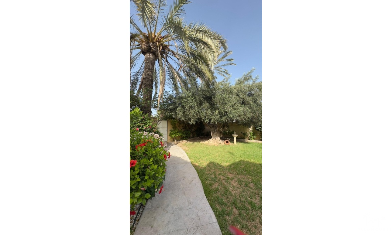 Venta - Villa - Orihuela Costa - Punta Prima