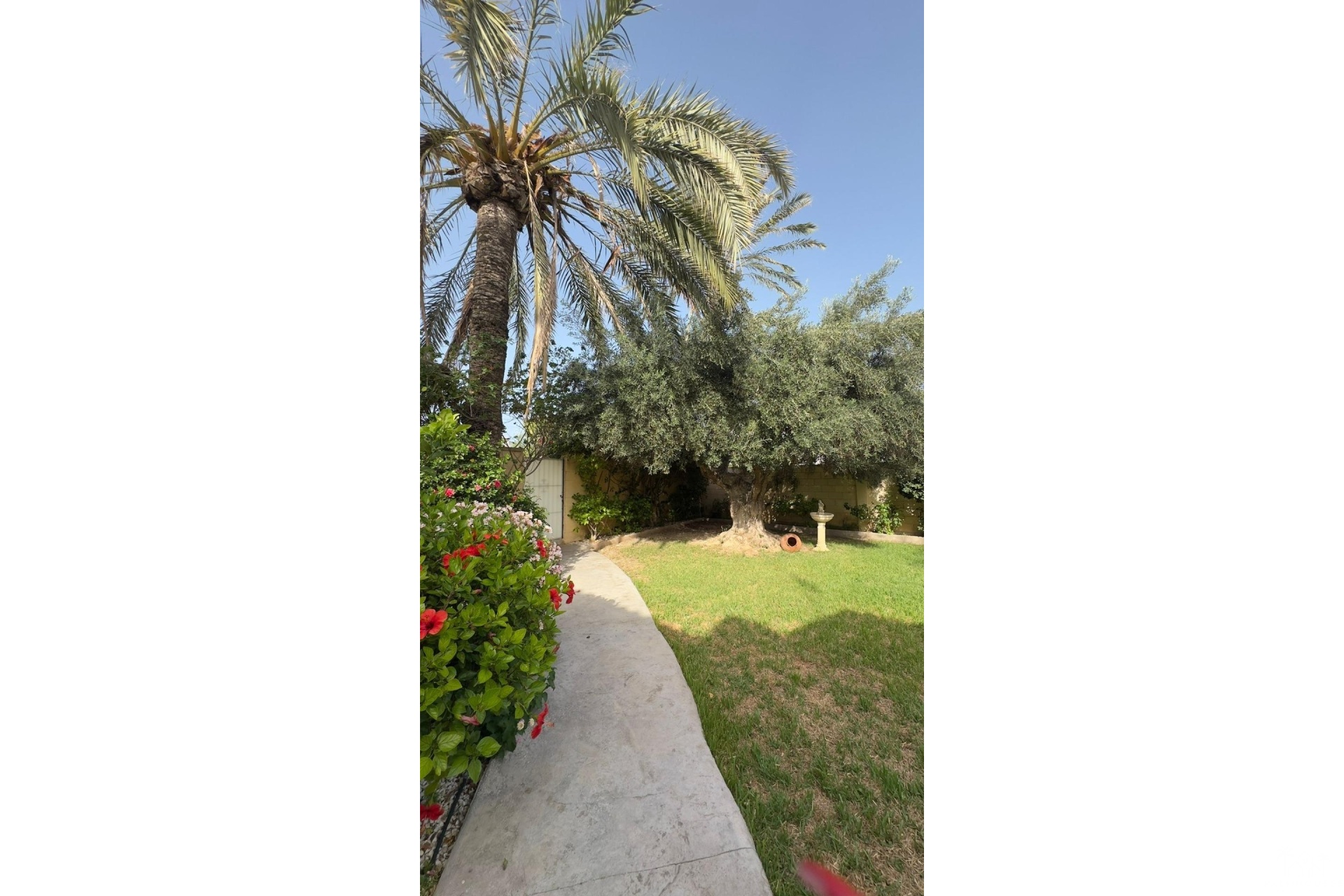Venta - Villa - Orihuela Costa - Punta Prima