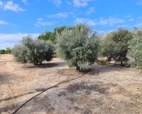Venta - Villa - Orihuela - La Matanza