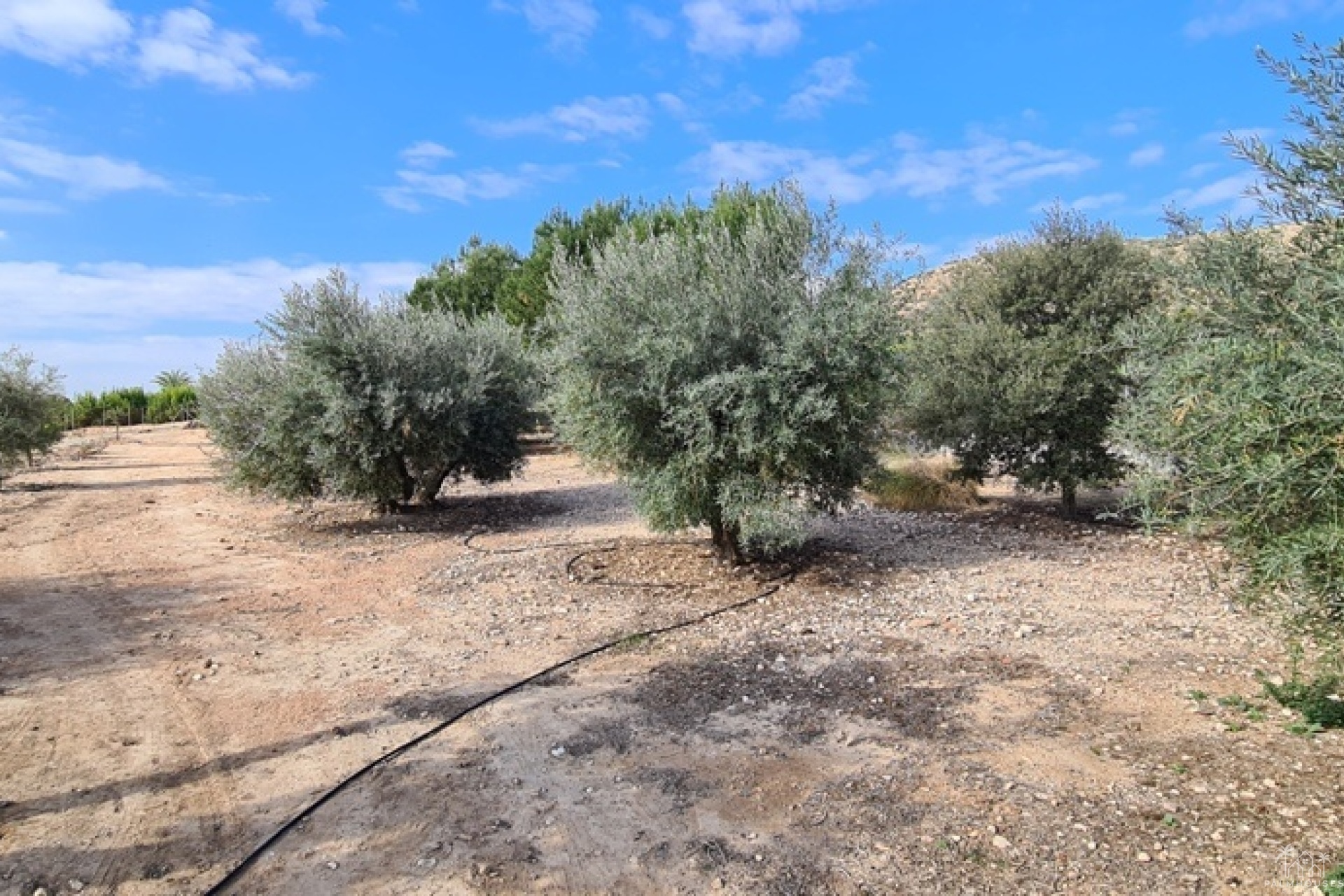 Venta - Villa - Orihuela - La Matanza