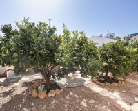 Venta - Villa - Orihuela - La Regia