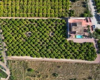 Venta - Villa - Orihuela - Orihuela Centro